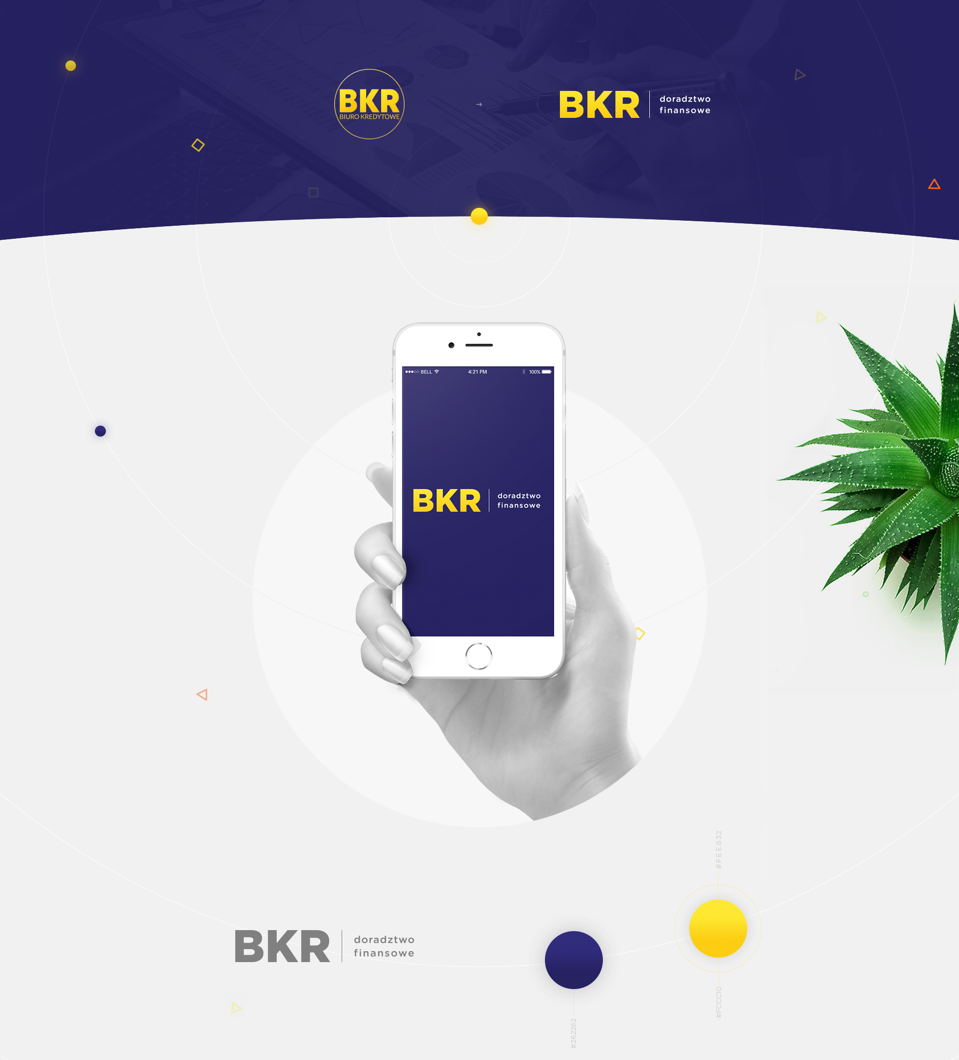 BKR - Realizacja - Agencja ROXART