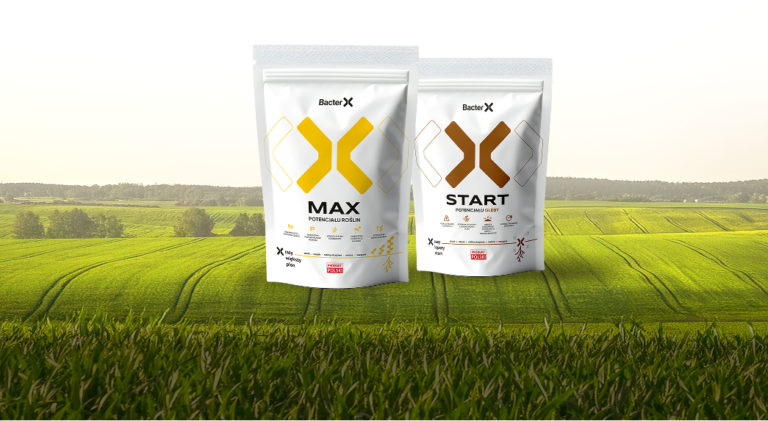 BacterX